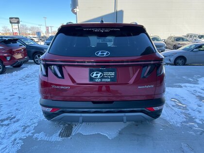 used 2022 Hyundai Tucson Hybrid car, priced at $43,596