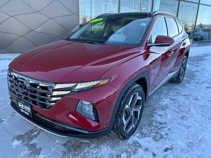 used 2022 Hyundai Tucson Hybrid car, priced at $43,694