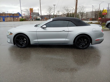 used 2019 Ford Mustang car, priced at $36,950