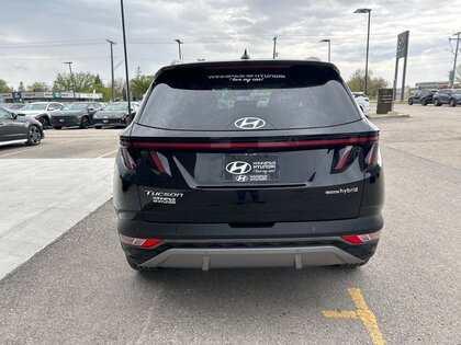 used 2022 Hyundai Tucson Hybrid car, priced at $43,690