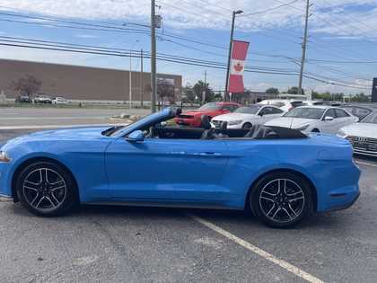 used 2022 Ford Mustang car, priced at $33,950