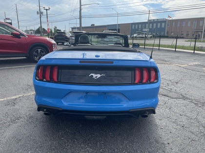 used 2022 Ford Mustang car, priced at $33,950