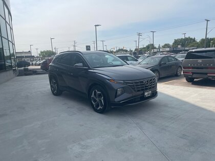 used 2022 Hyundai Tucson Hybrid car, priced at $39,980