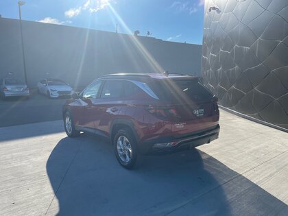 used 2024 Hyundai Tucson car, priced at $37,996