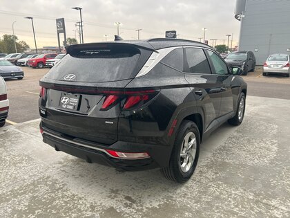 used 2022 Hyundai Tucson car, priced at $31,981