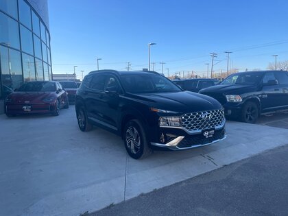 used 2023 Hyundai Santa Fe car, priced at $37,996