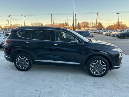 used 2023 Hyundai Santa Fe Hybrid car, priced at $48,980