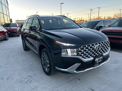 used 2023 Hyundai Santa Fe Hybrid car, priced at $48,980