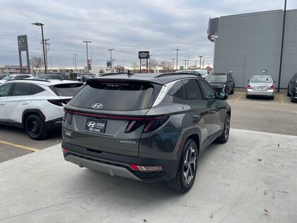 used 2023 Hyundai Tucson Hybrid car, priced at $43,986