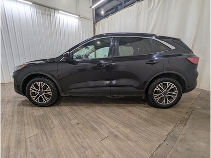 used 2020 Ford Escape car, priced at $24,998