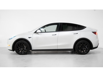 used 2021 Tesla Model Y car